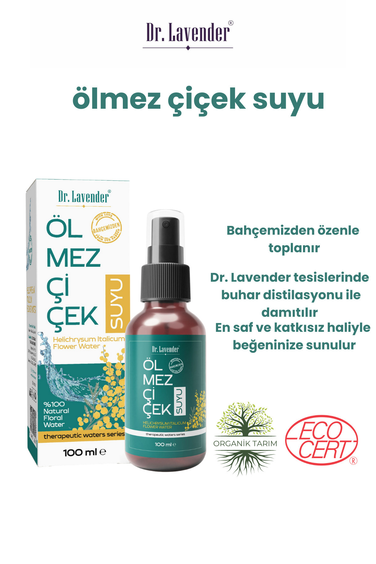 Ölmez Çiçek Suyu Cilt Bakım, Saç Bakım Altın Otu Suyu 100 ML — DR210308 — تصویر 2 از 7