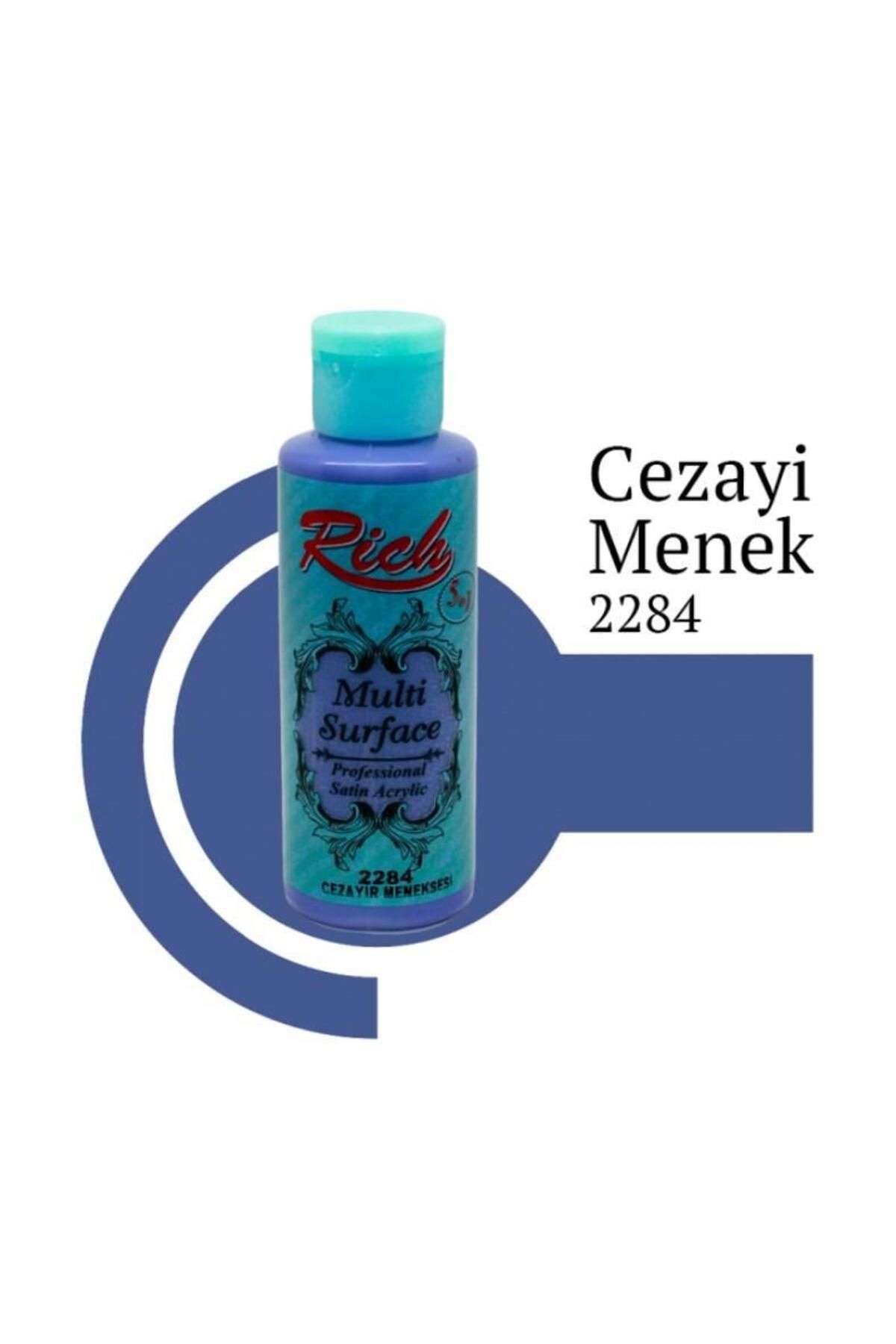OEM Rich Multi Surface 2284 Cezayir Menekşesi Akrilik Boya 120 cc