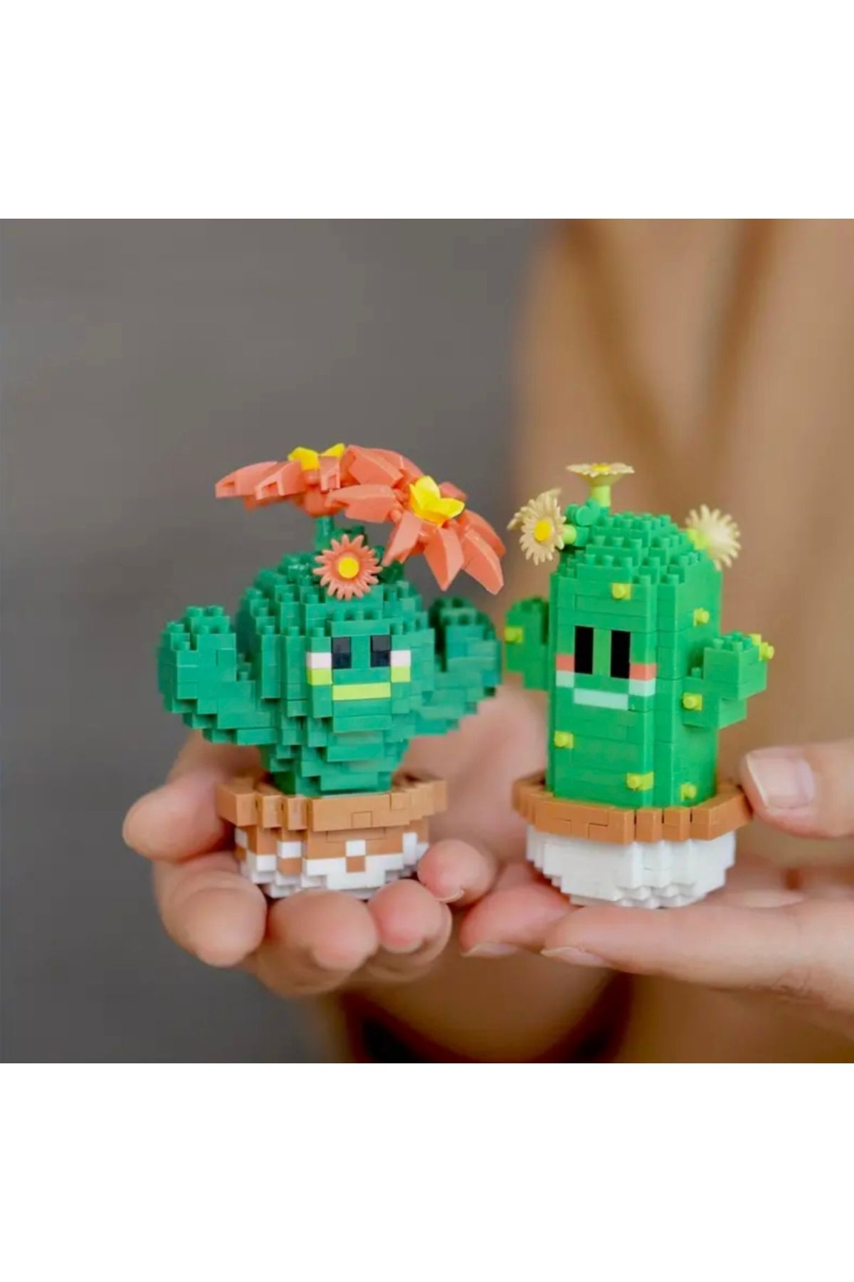 purple dragon-+311 Pieces Succulent Cactus Bricks Set, Includes Tiny Building Blocks, Building Blocks 4