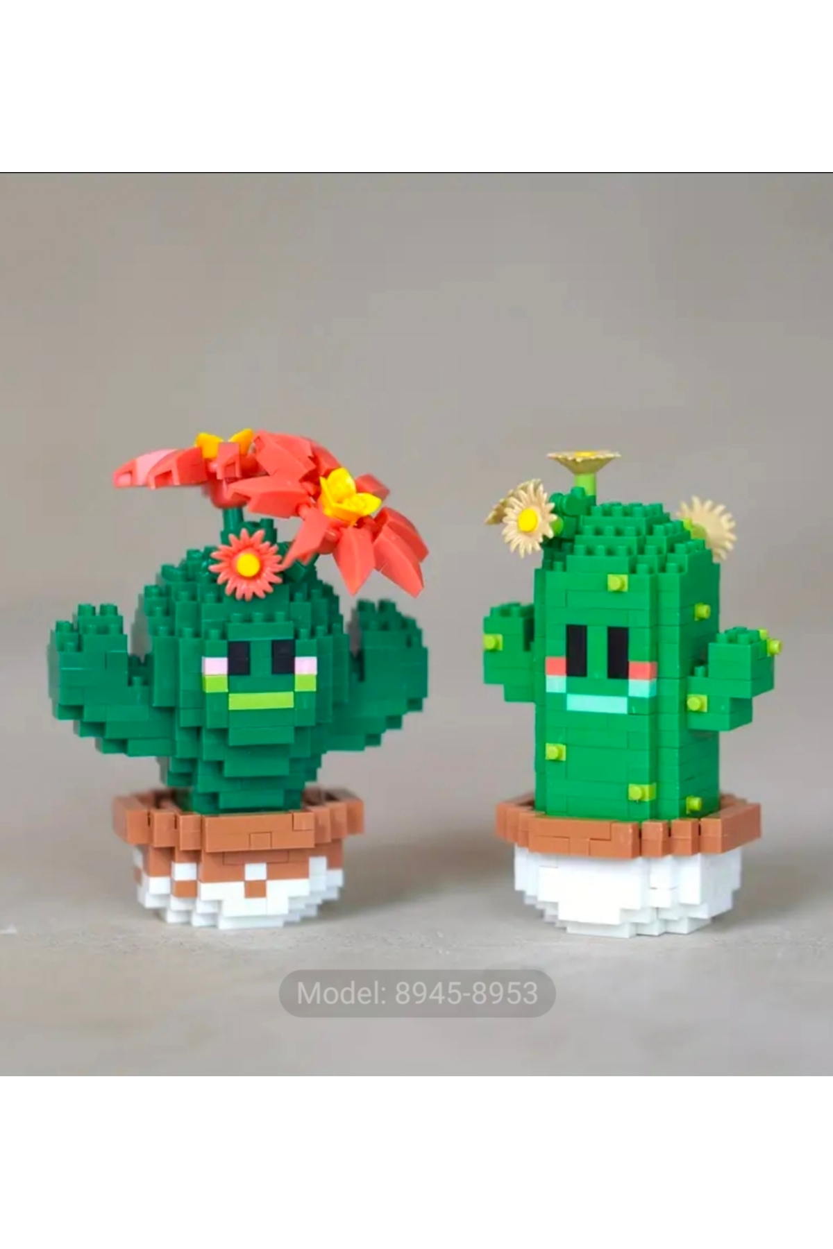 خرید آجرهای کاکتوس آبدار – مجموعه بلوک‌های ساختمانی مینی با ۳۳۸ قطعه