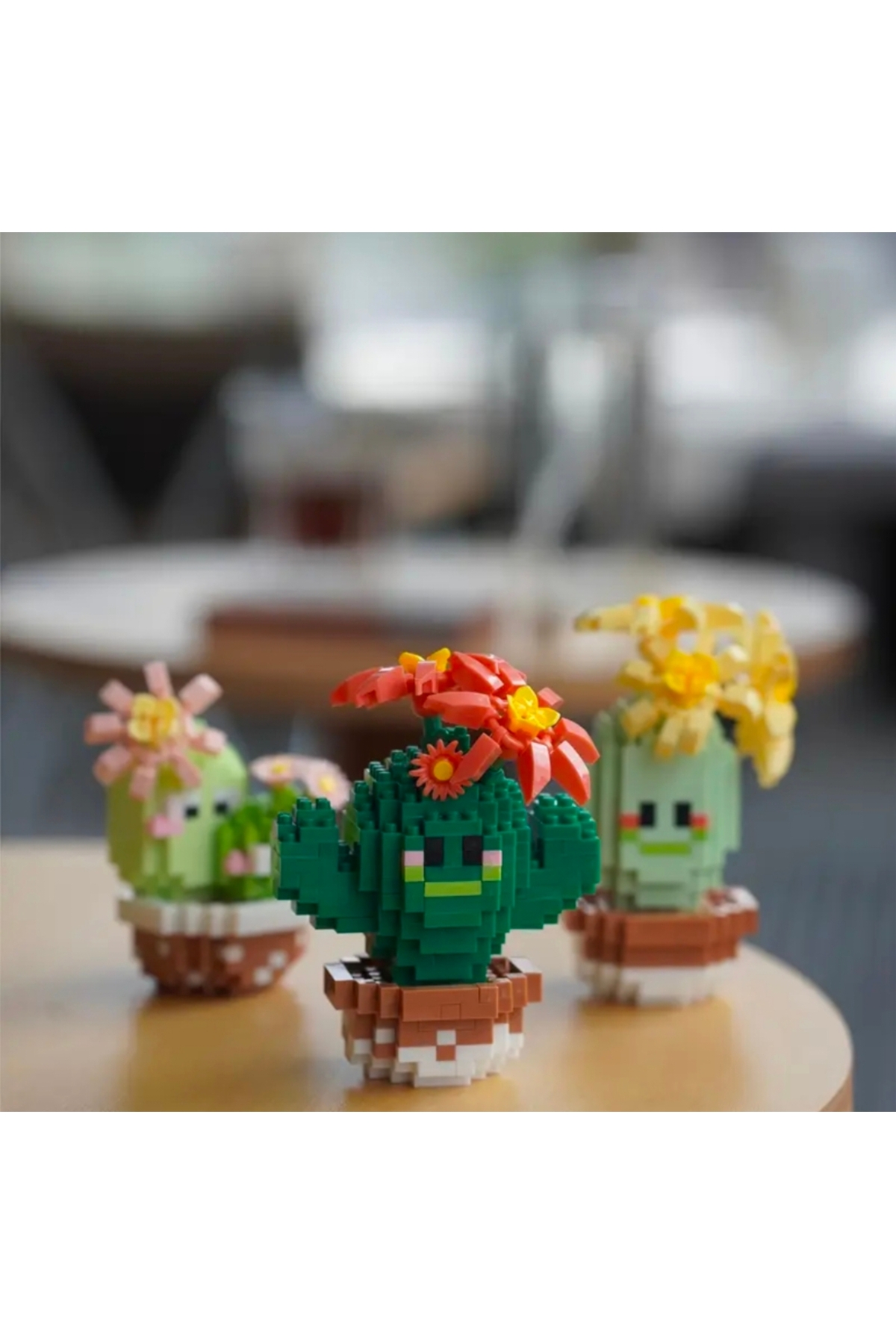 خرید آجرهای کاکتوس آبدار – مجموعه بلوک‌های ساختمانی مینی با ۳۳۸ قطعه