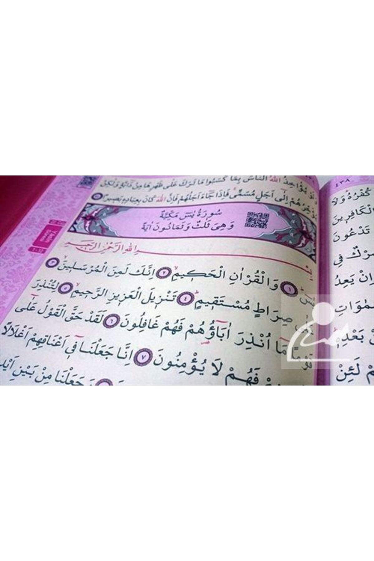 Haktan Yayınları Kur-an'ı Kerim Renkli Gül Desenli Pembe Cilt, Sesli Rahle Boy (h-13) & Bilgisayar Hatlı, Diyanet ... fotoğrafı 4 (önizleme)