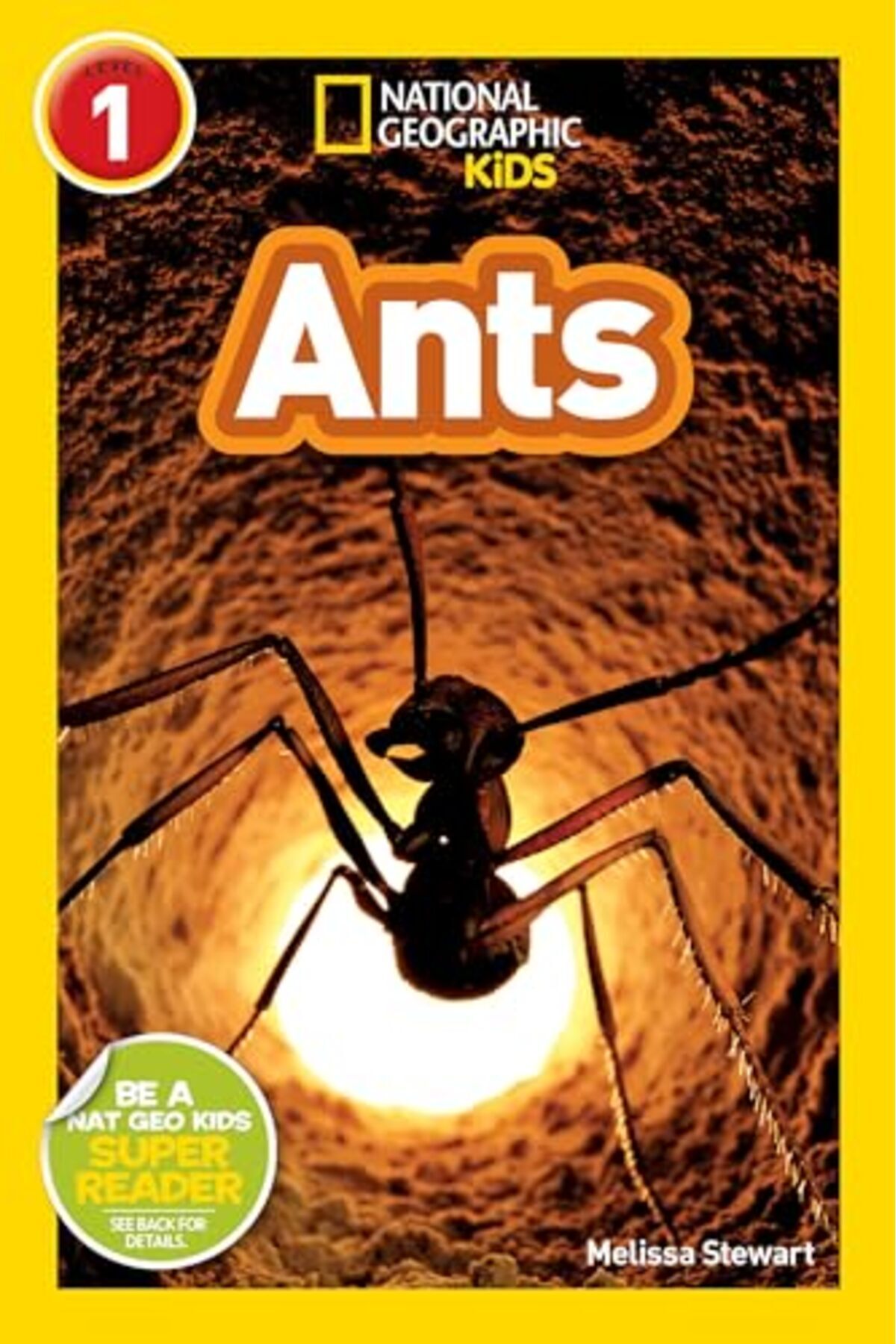 NATIONAL GEOGRAPHIC-Ants 1