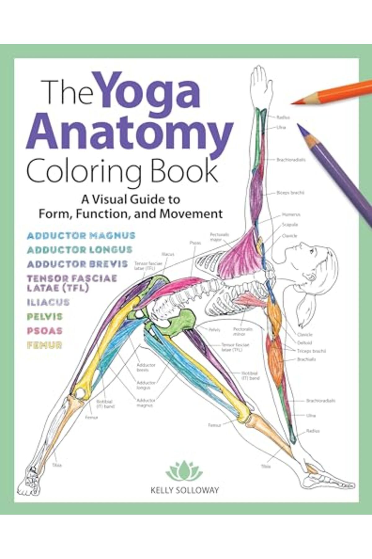 Sixth & Spring Books-The Yoga Anatomy Coloring Book A Visual Guide To Form Function And Movement 1