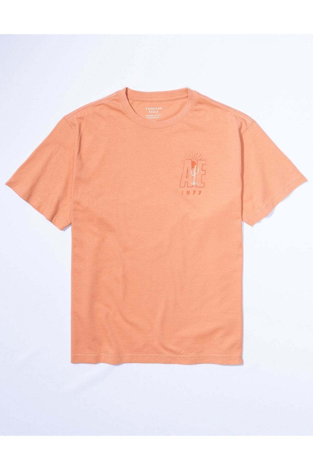 AMERICAN EAGLE-AE Embroidered Graphic T-Shirt 3