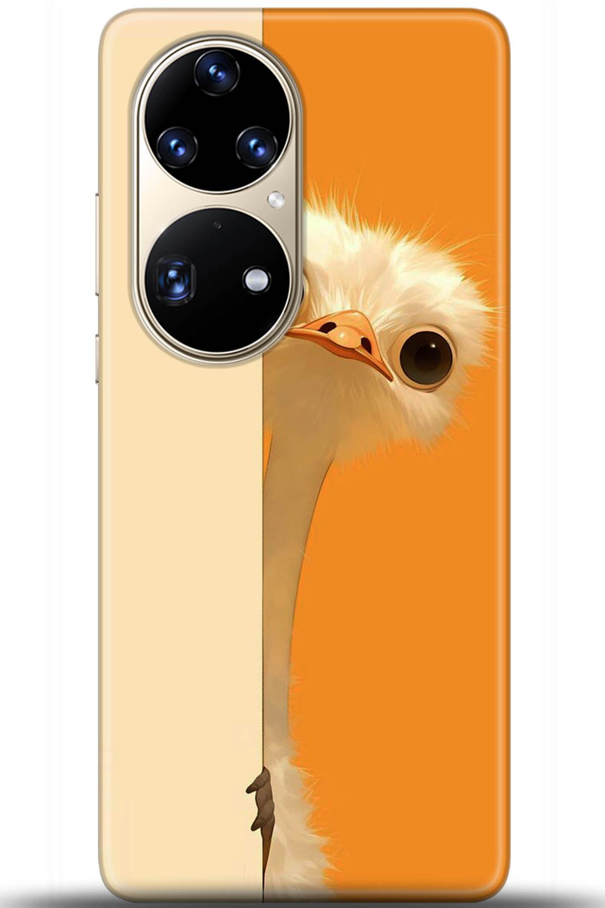 adveksiyon Huawei P50 Pro Kılıf HD Baskılı Kılıf - Central Anatolia Series 5418