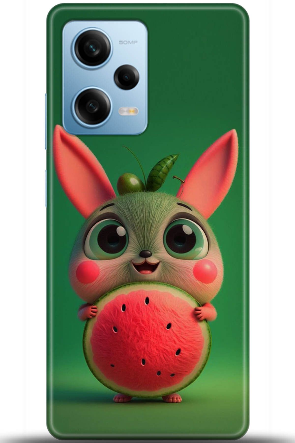 adveksiyon Xiaomi Redmi Note 12 5G Kılıf HD Baskılı Kılıf - Central Anatolia Series 5384