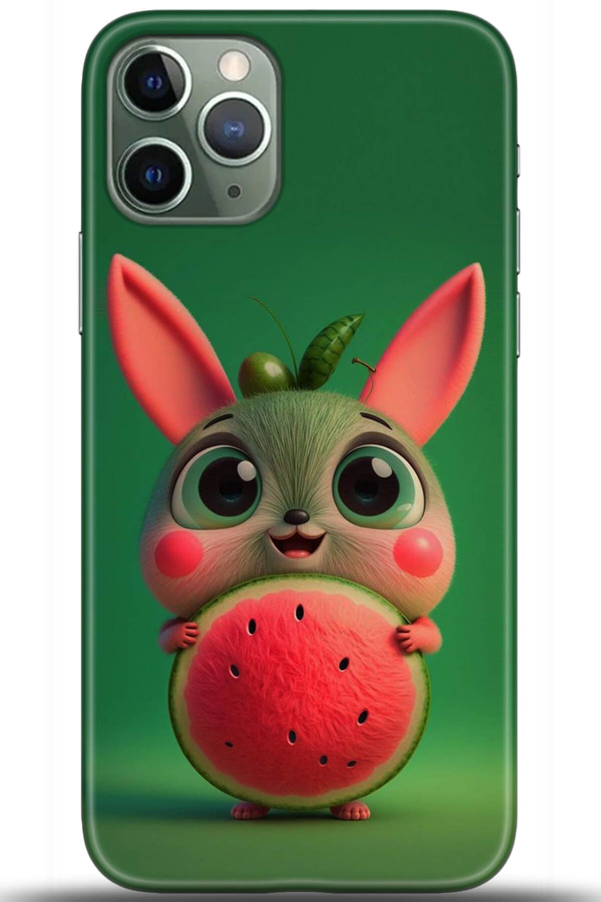adveksiyon Apple iPhone 11 Pro Kılıf HD Baskılı Kılıf - Central Anatolia Series 5384