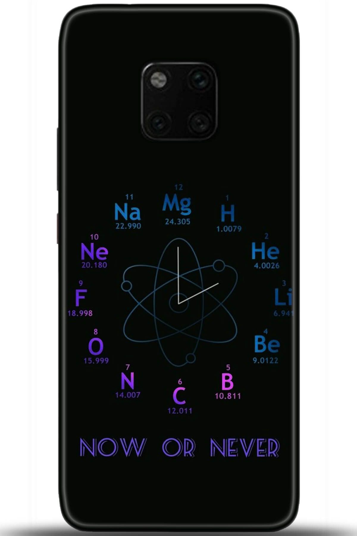 adveksiyon Huawei Mate 20 Pro Kılıf HD Baskılı Kılıf - Central Anatolia Series 5382