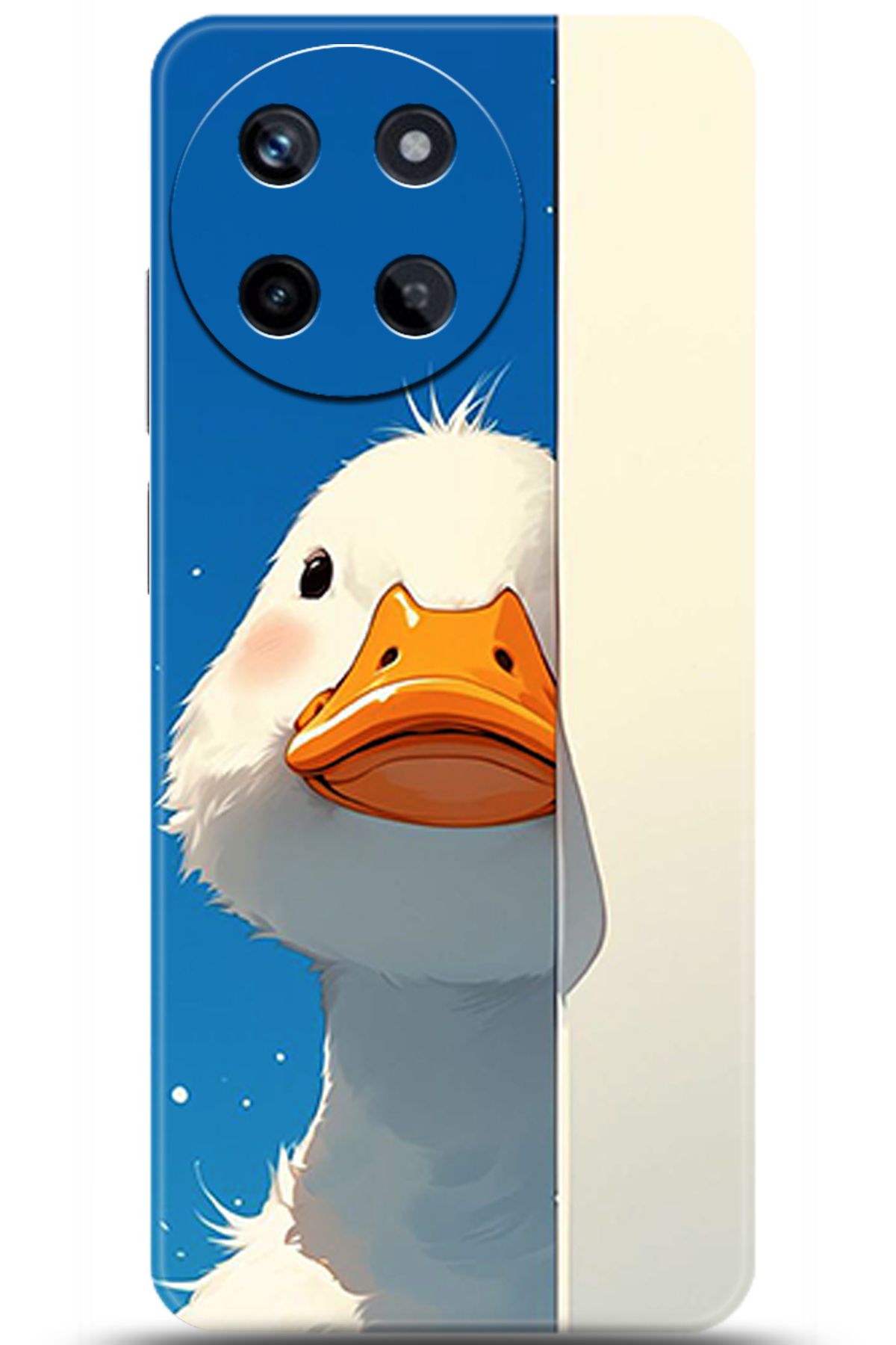 realme 11 4G Kılıf HD Baskılı Kılıf - Central Anatolia Series 5375