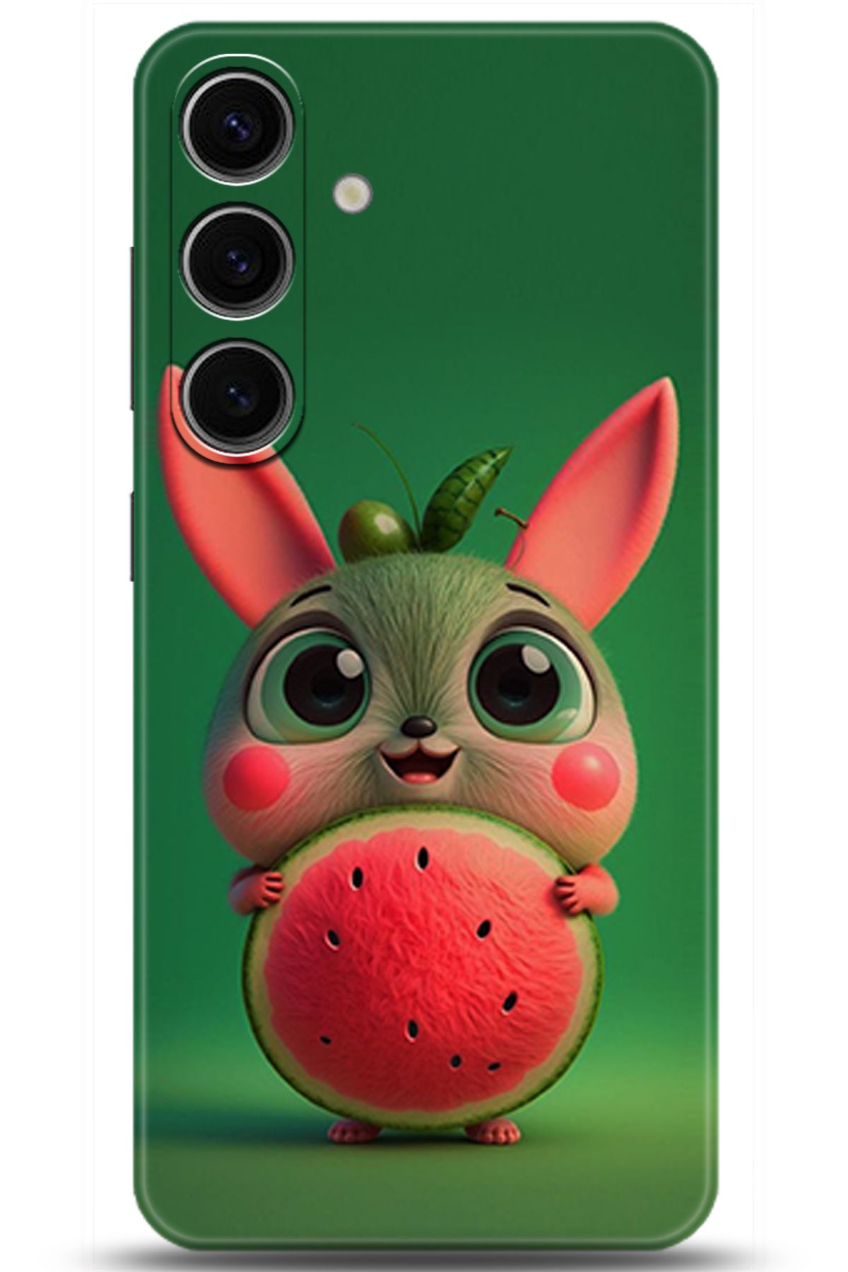 adveksiyon Samsung Galaxy S24 Kılıf HD Baskılı Kılıf - Central Anatolia Series 5384