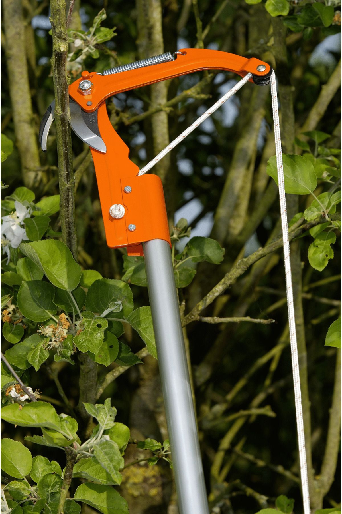 Depolife-High Tree Pruning and Trimming Scissors - Crown Branch Cutting, Pole Fitting String Scissors 6