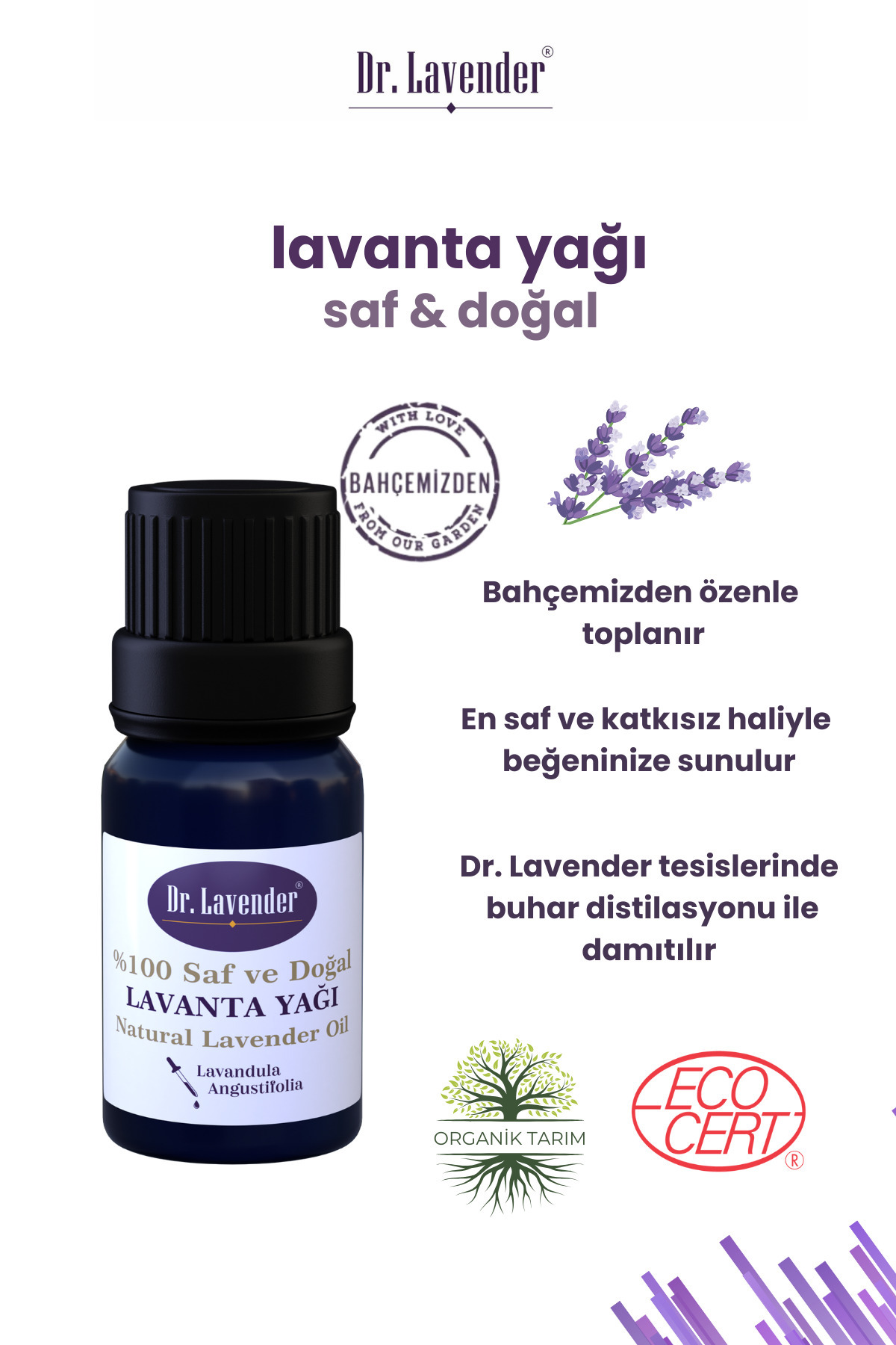 Saf Konsantre Lavanta Yağı 10 Ml + Dekoratif Lavanta Tohumu Kokusu Hediyeli — GL7207978 — تصویر 3 از 6