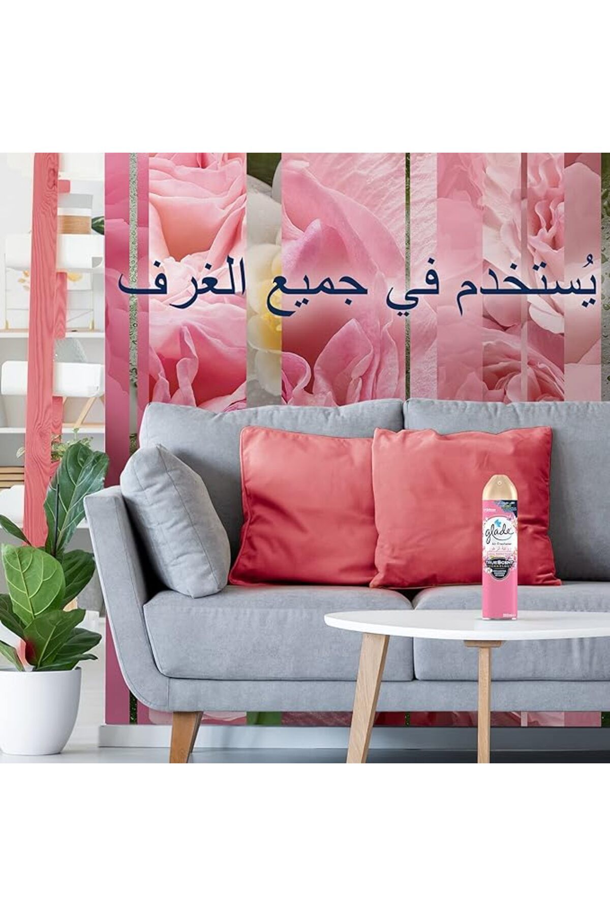 Glade-عبوة من معطرات الهواء برائحة الورد والفاوانيا المزهرة والكرز، 3 عبوات بحجم 300 مل، لتجديد الغرف 4