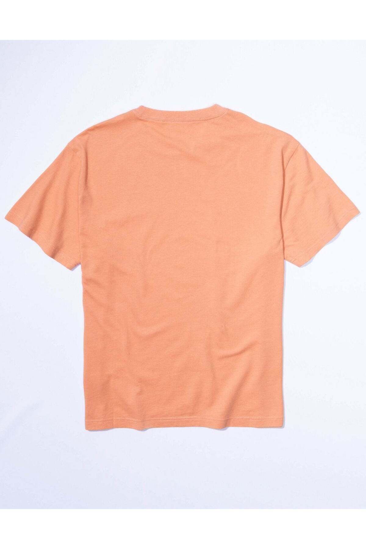 AMERICAN EAGLE-AE Embroidered Graphic T-Shirt 4