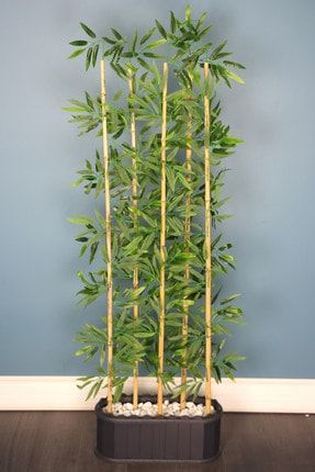 Dekoratif Saksıda Islak Yapraklı 5 Çubuklu Bambu Seperatör (20x50x170cm) YPCCK-FKYT-676