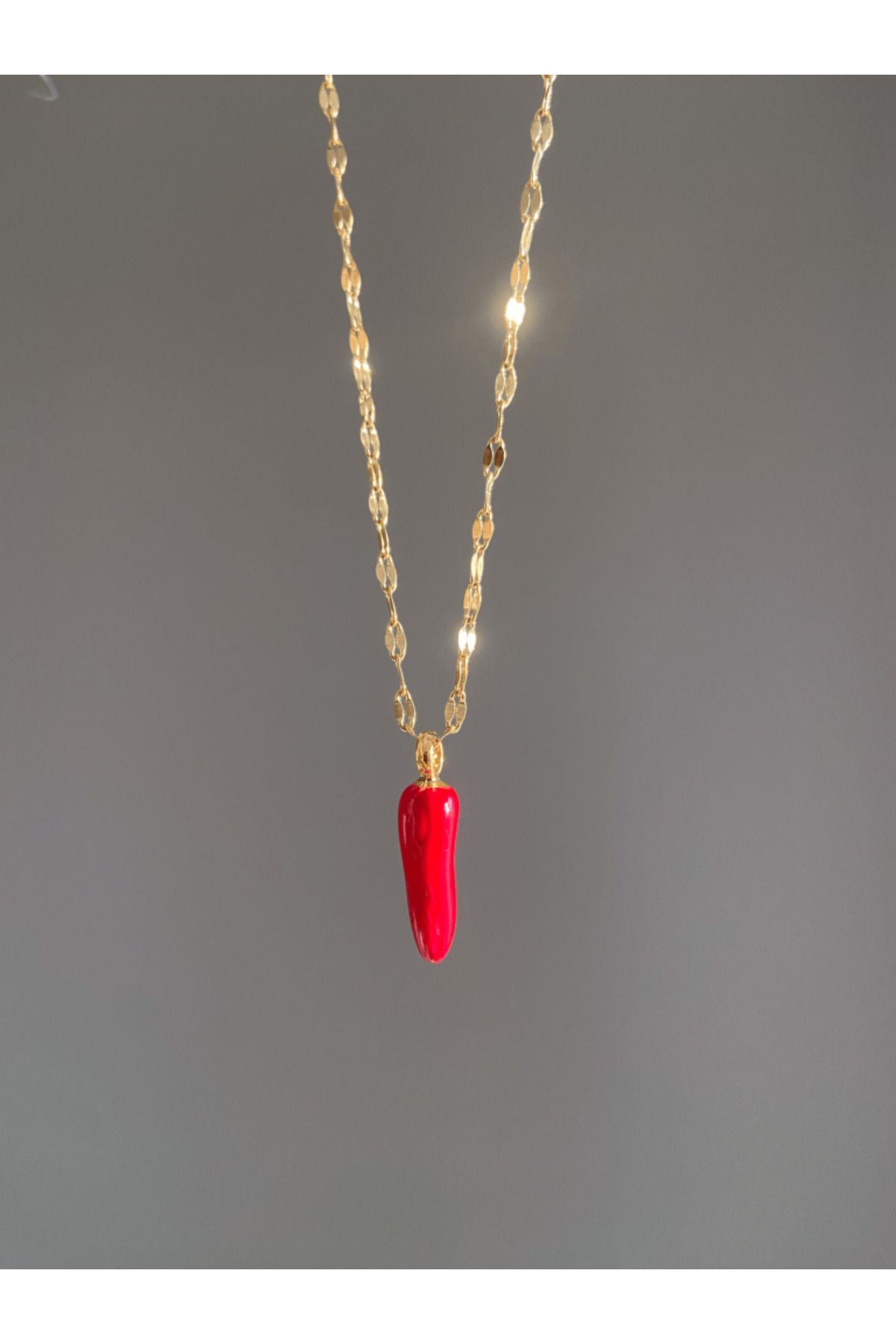 AŞIK ACCESSORIES-Stainless Steel Red Pepper Necklace 1