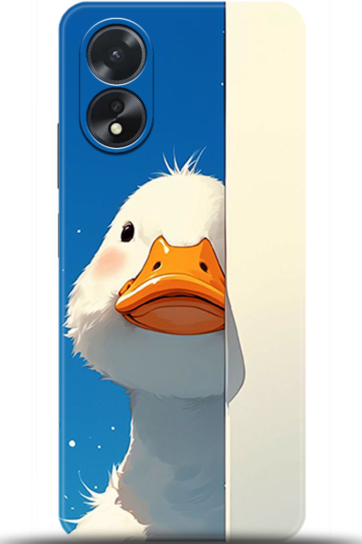 adveksiyon Oppo A38 Kılıf HD Baskılı Kılıf - Central Anatolia Series 5375