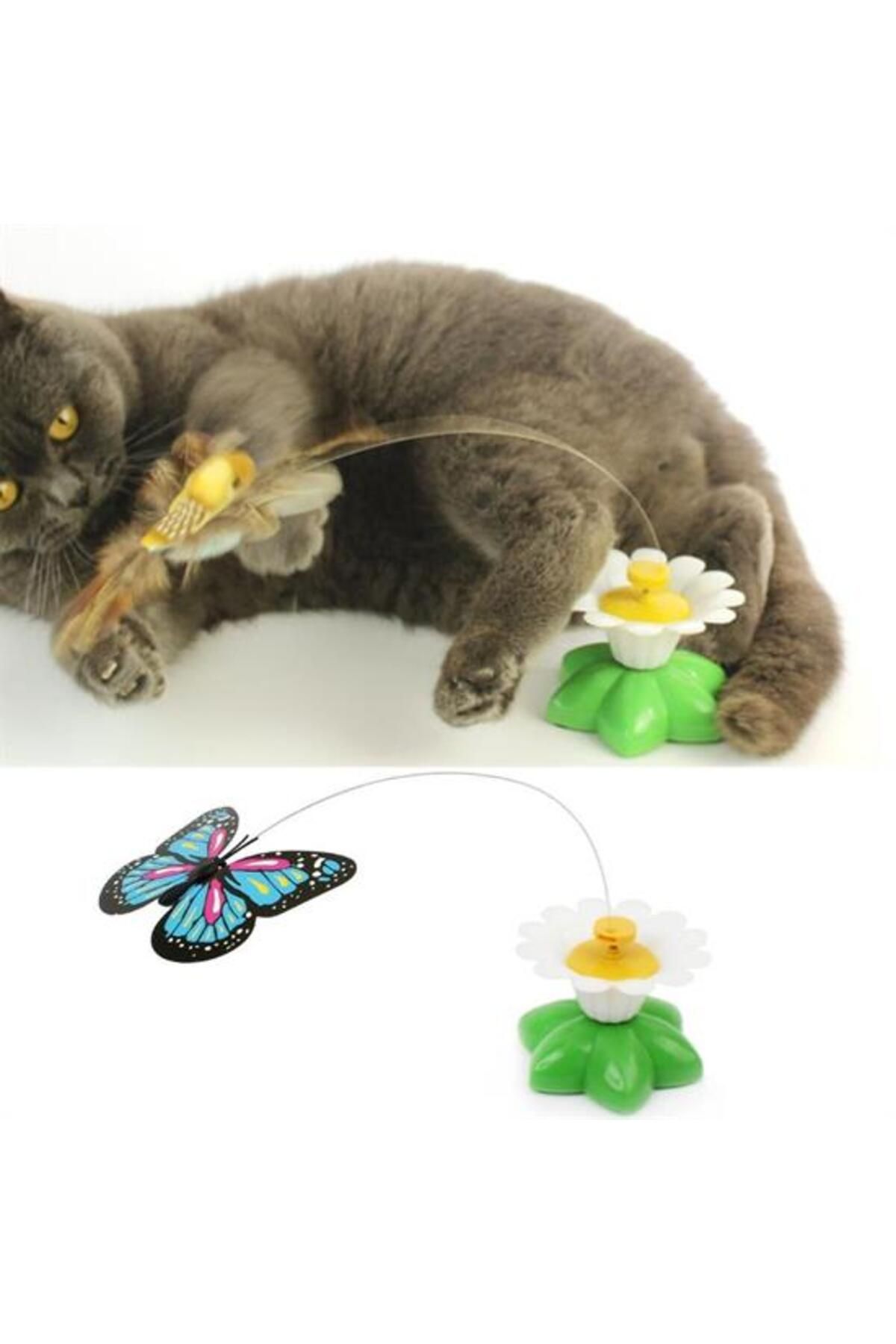 Albayrak Pilli Hareketli Dönen Kelebek Kedi Oyuncağı Catch Butterfly