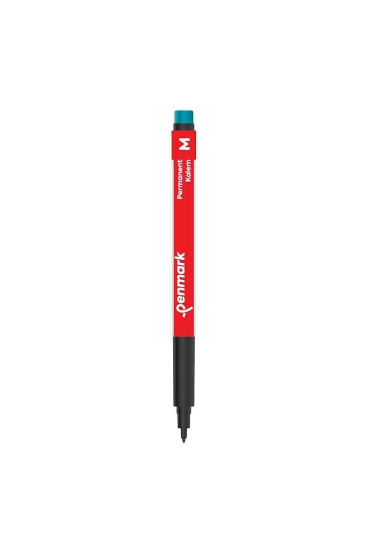 penmark Hs-206-01 Asetat Kalemi (M) Siyah Japon Uç 0,1 Mm