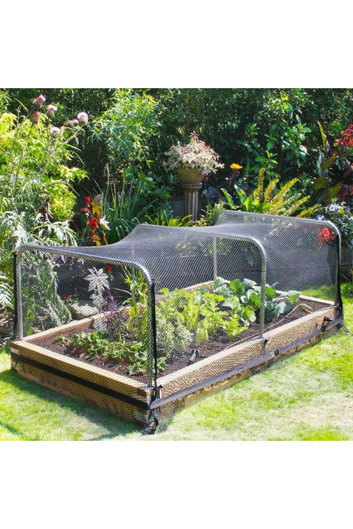 Choice-4x5m 4x5m/ 5x20m Reusable Black Fruit Tree Netting, Garden Netting For Protecting Fruit Trees, Plant 2