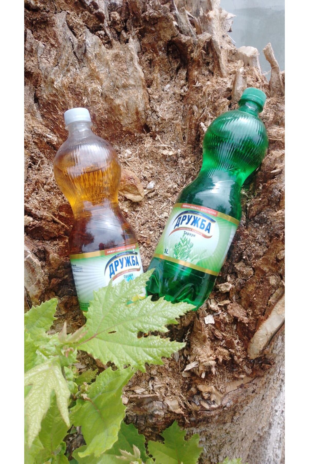Drujba Tarhun Aromalı Gazlı limonata 1 L 1x6
