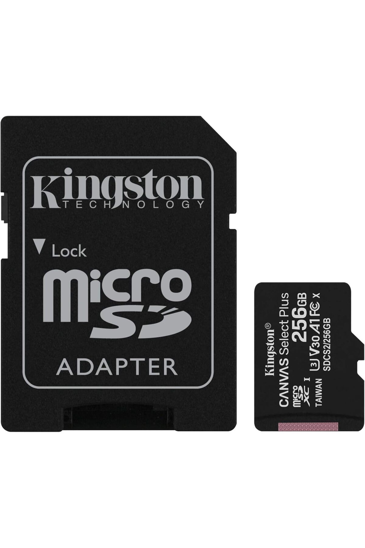 STOREMAX daliashops Canvas Select Plus microSD hafıza kartı, SDCS2/256GB Class 10 (SD adaptörü dahil) Sta