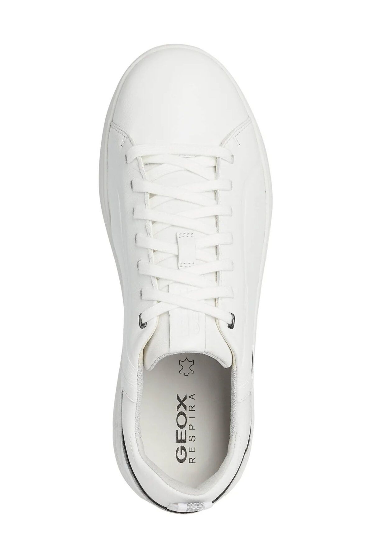 Geox-U SPHERICA EC4 B - NAPPA 3