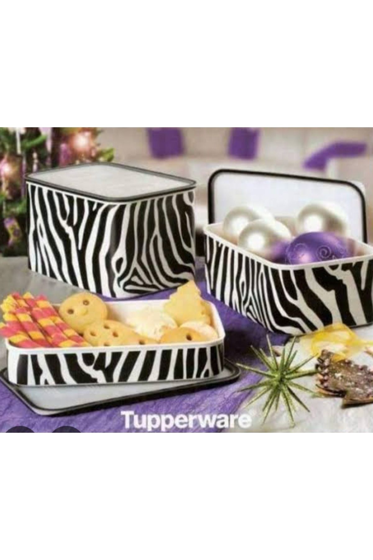 Tupperware-Zebra Set of 3 1