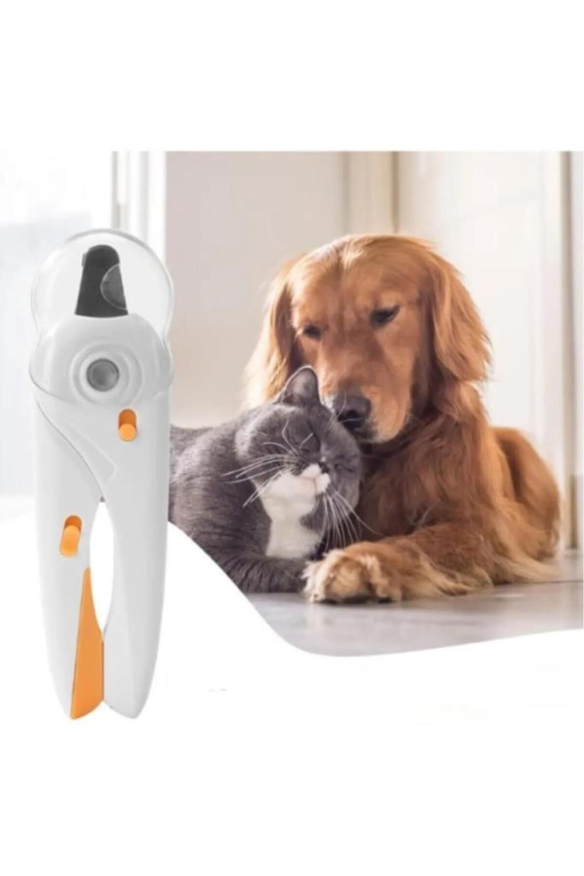 Nirnisa Led Işıklı Kedi Köpek Tırnak Makası Törpü Set Paslanmaz Çelik Uçlu Pati Bakım Makası Pense