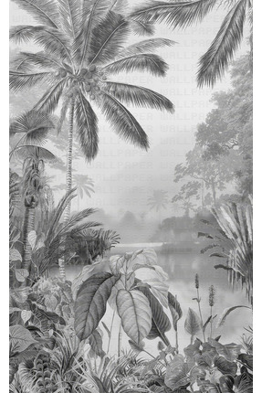 Home Siyah-beyaz-orman-duvar-kağıdı.jpg