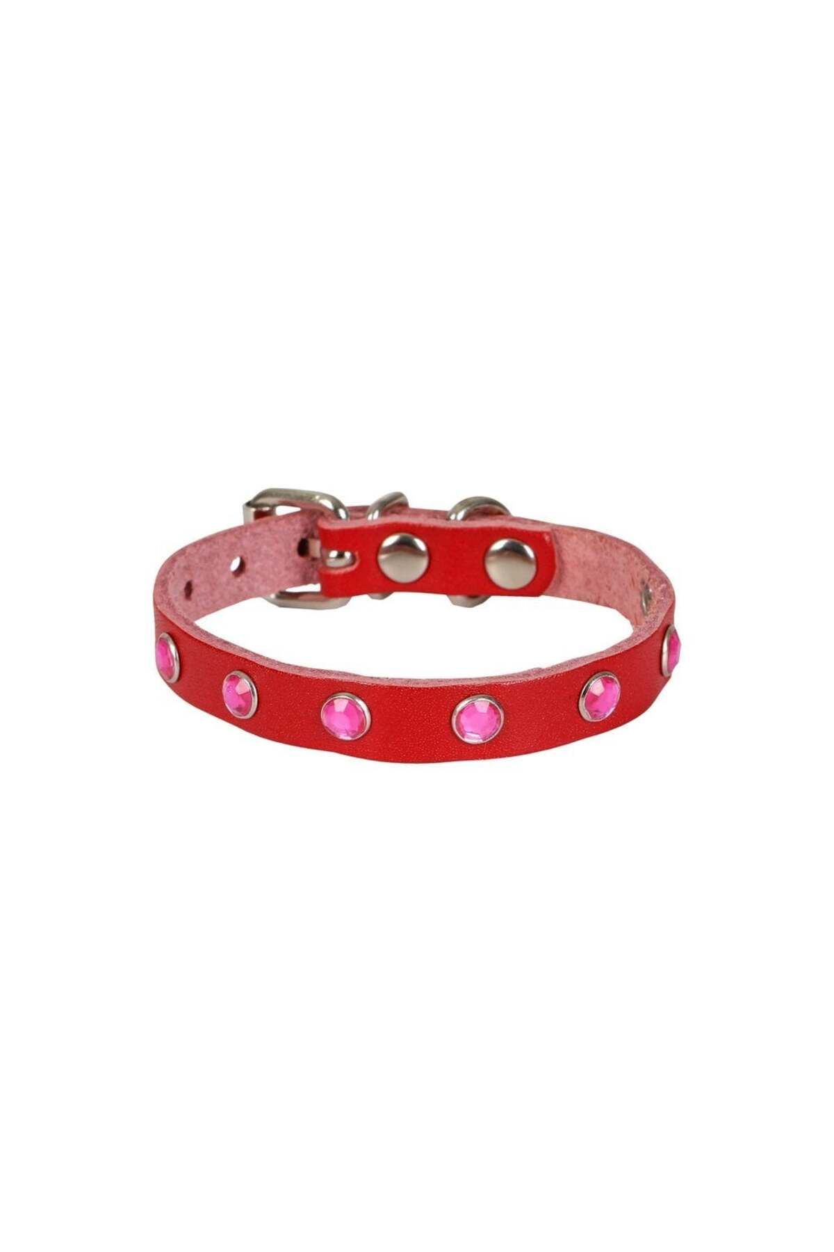 Genel Markalar Taşlı Kedi ve Yavru Köpek Tasması 1,5x29 cm Kırmızı XLarge