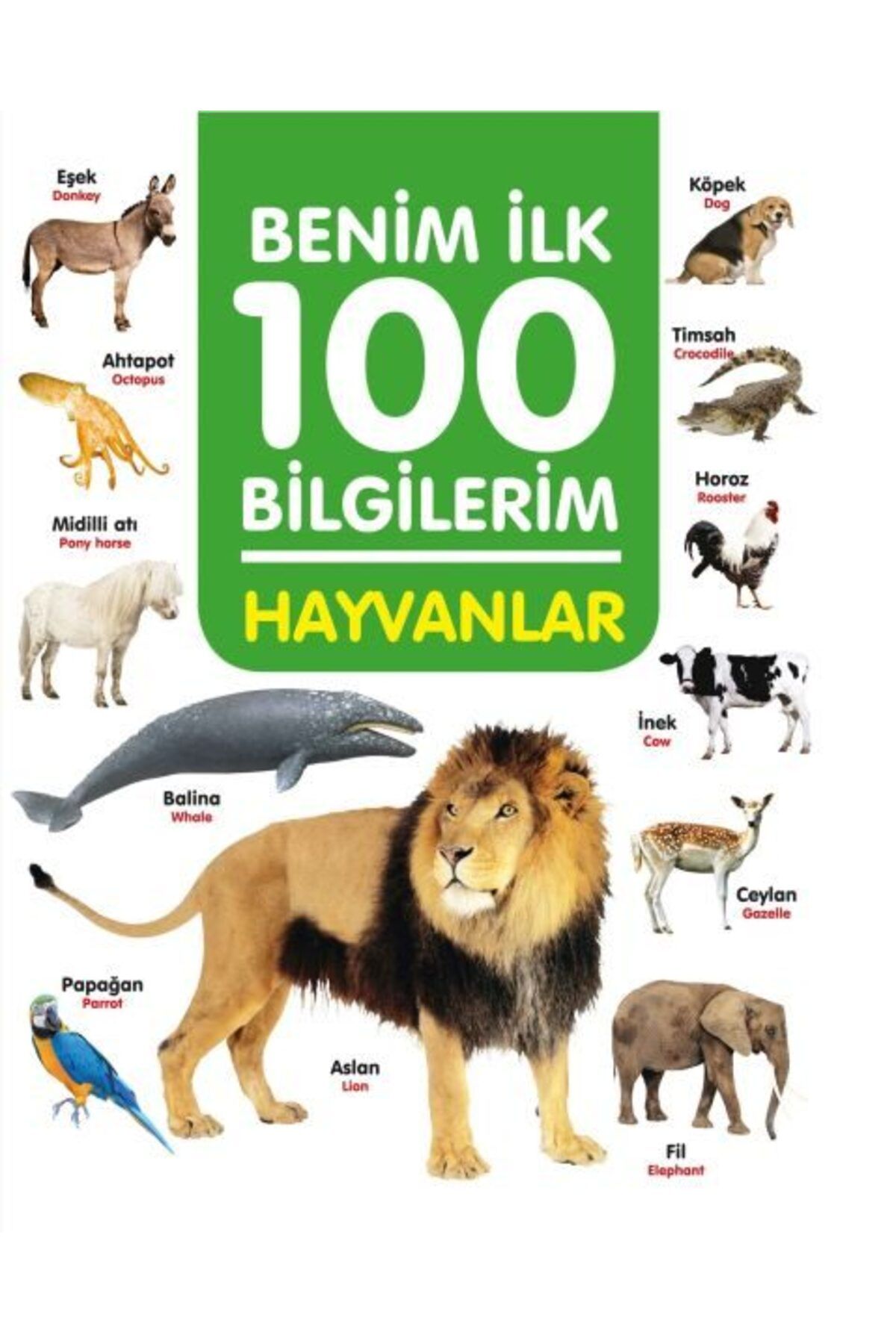 0-6 Yaş Yayınları Hayvanlar Benim İlk 100 Bilgilerim