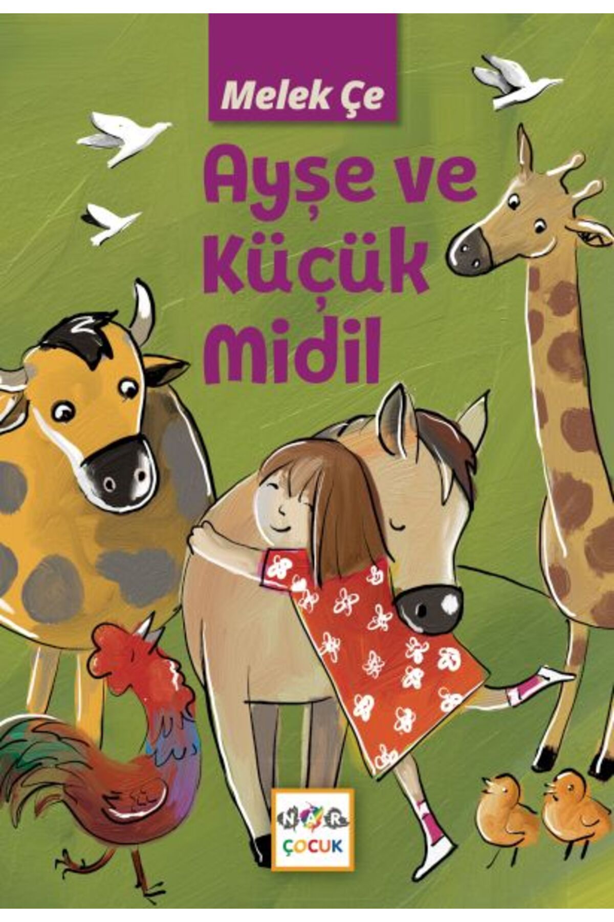 Nar Yayınları Ayşe Ve Küçük Midil