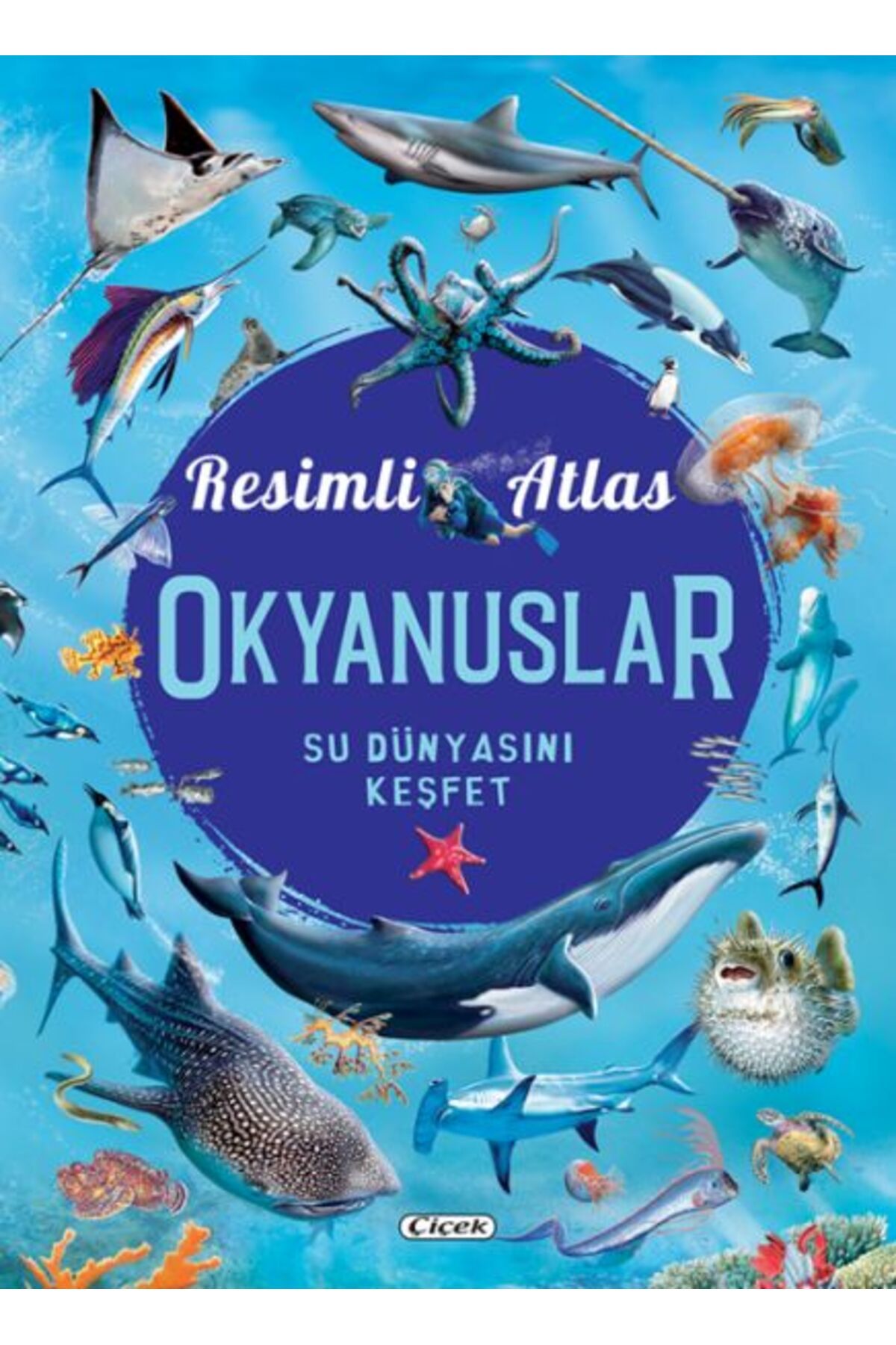Çiçek Yayıncılık Resimli Atlas Okyanuslar