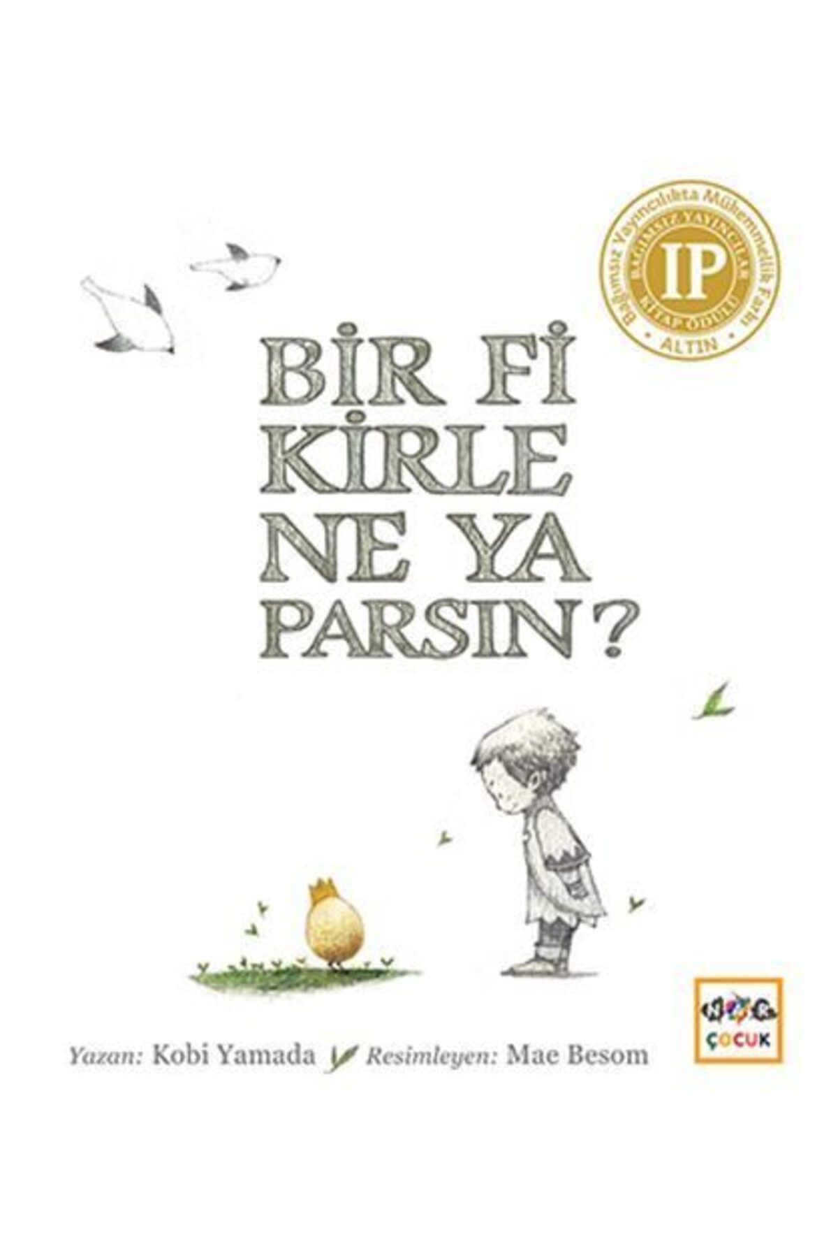 Nar Yayınları Bir Fikirle Ne Yaparsın