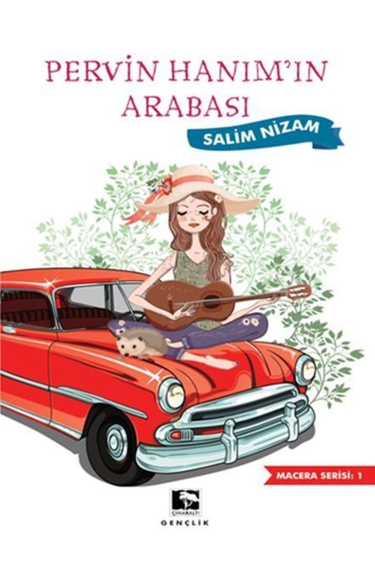 Çınaraltı Yayınları Pervin Hanımın Arabası
