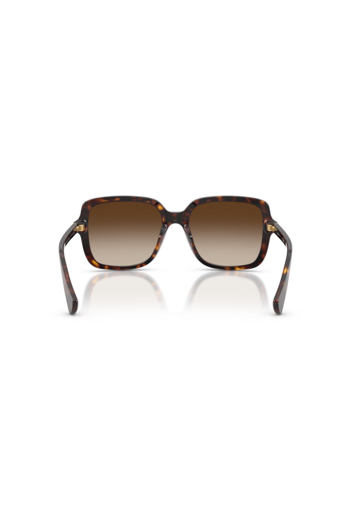 Ralph-RA5333U531356 Brown Acetate for Adult Female 3