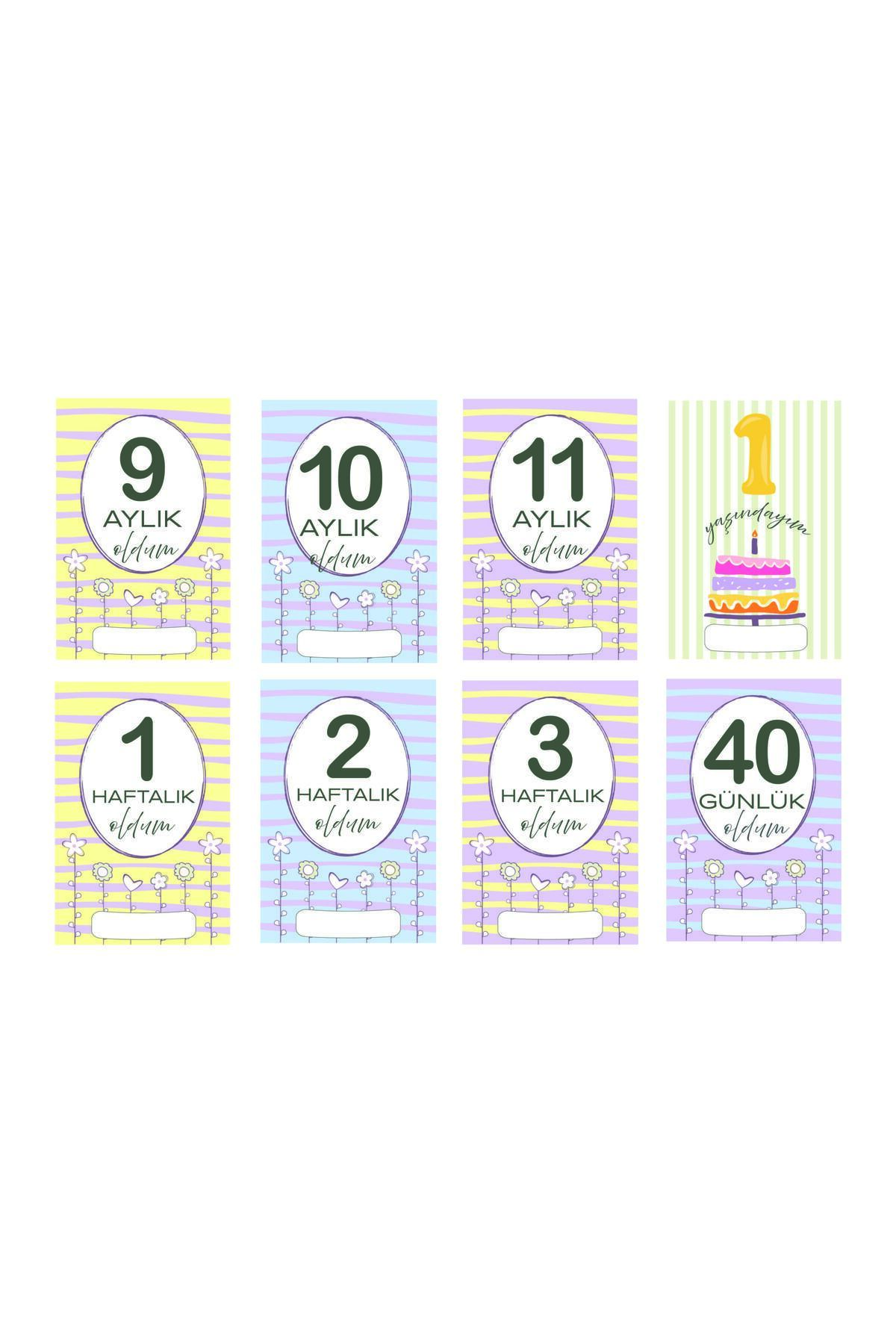 Mifold Mine Memory Bebek - Hamile Fotoğraf Anı Hatıra Kartı Seti 40 Adet - Hediyelik (ÇİÇEKLER) fotoğrafı 5 (önizleme)