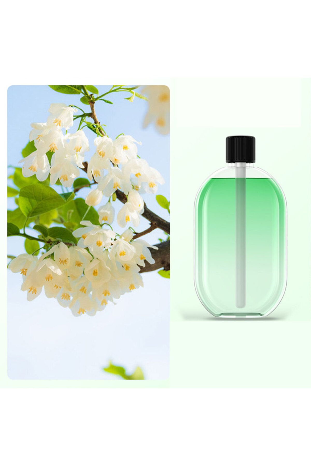 Generic-perfume Jasmine 1