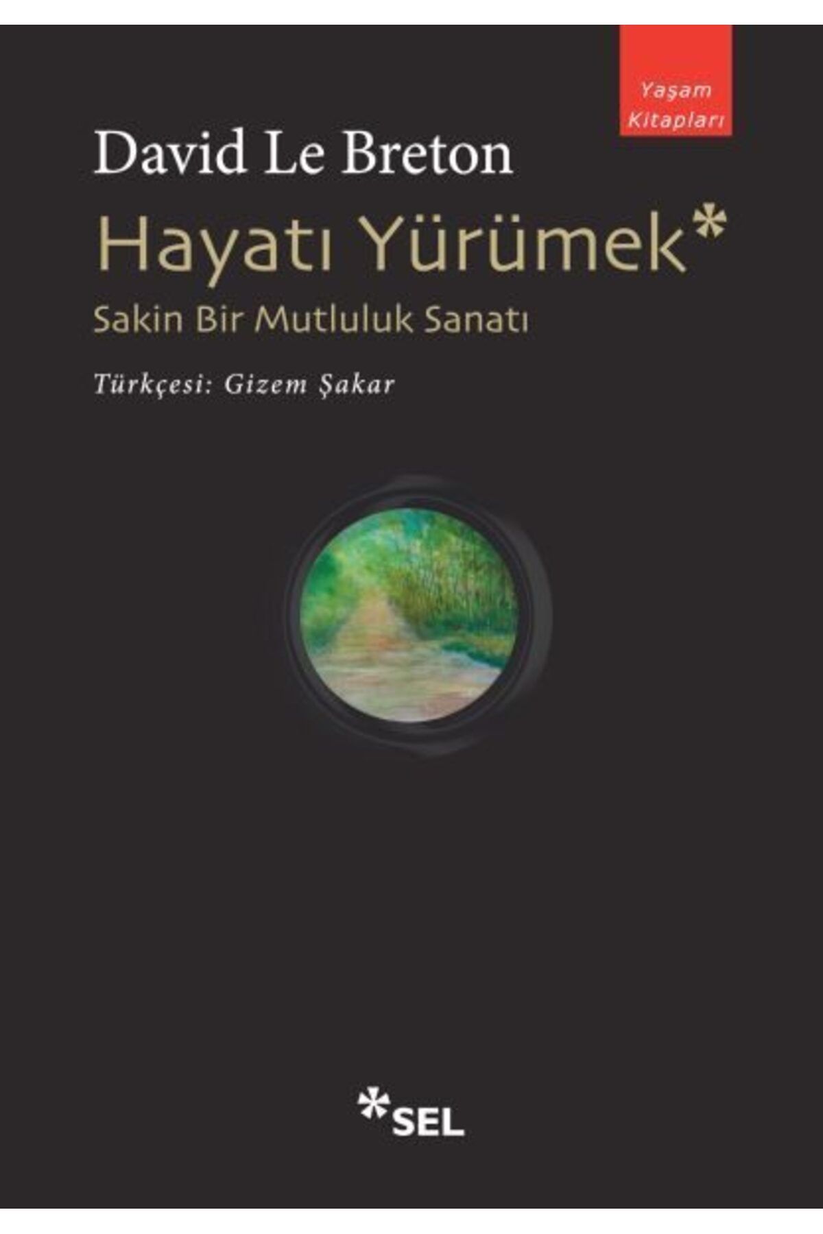Sel Yayınları Hayatı Yürümek Sakin Bir Mutluluk Sanatı