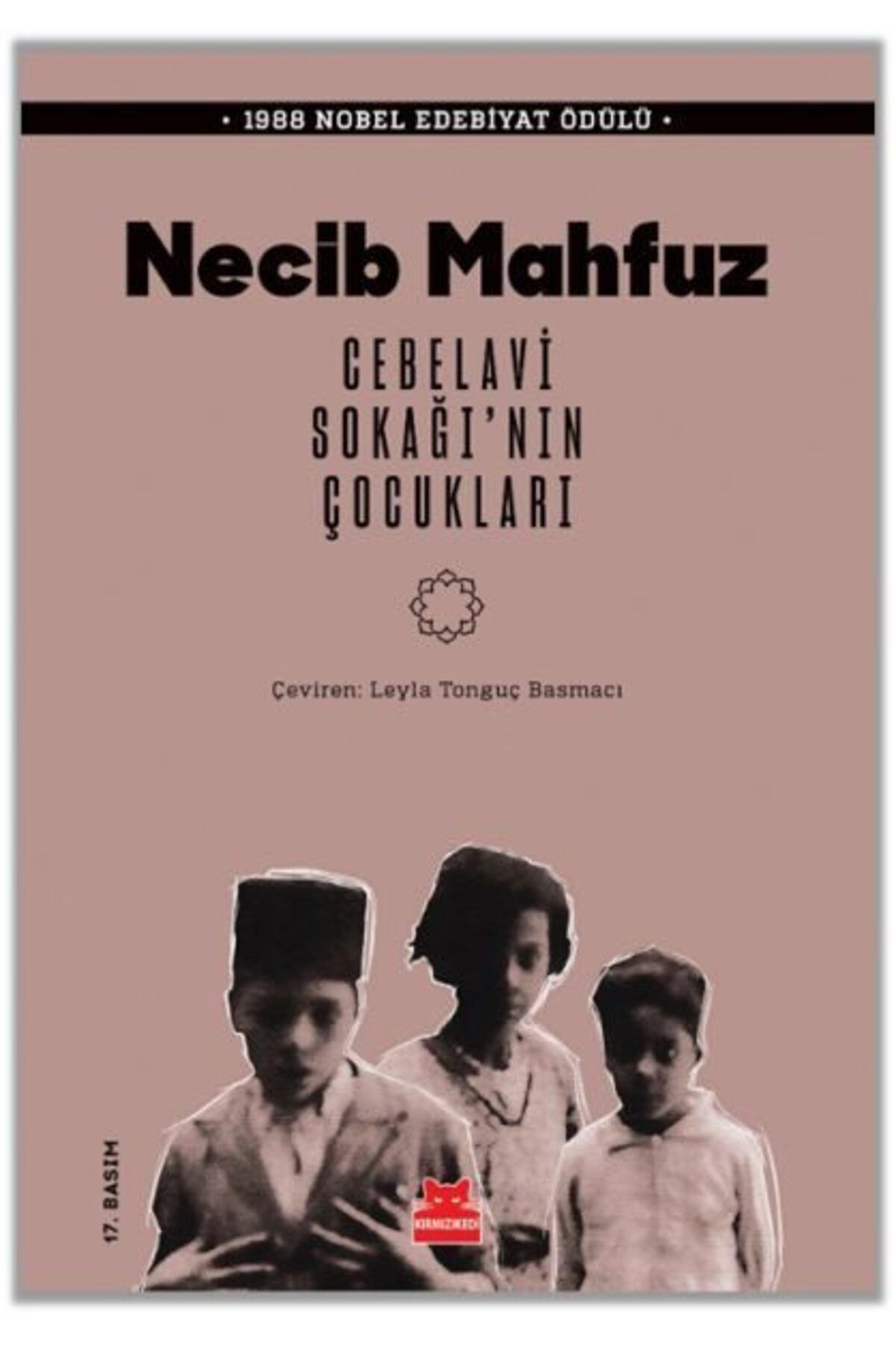 Destek Yayınları Cebelavi Sokağının Çocukları