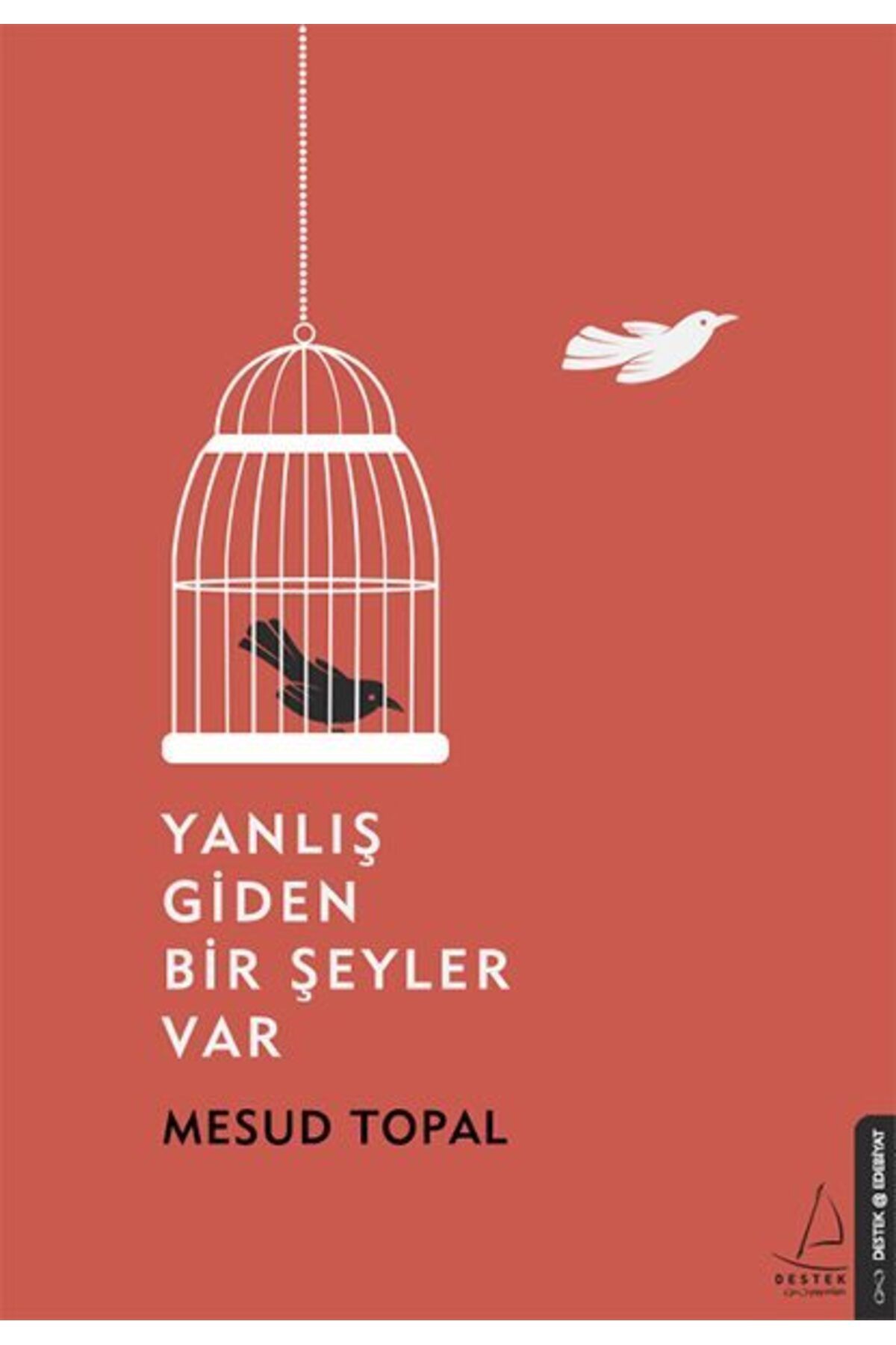 Destek Yayınları Yanlış Giden Bir Şeyler Var