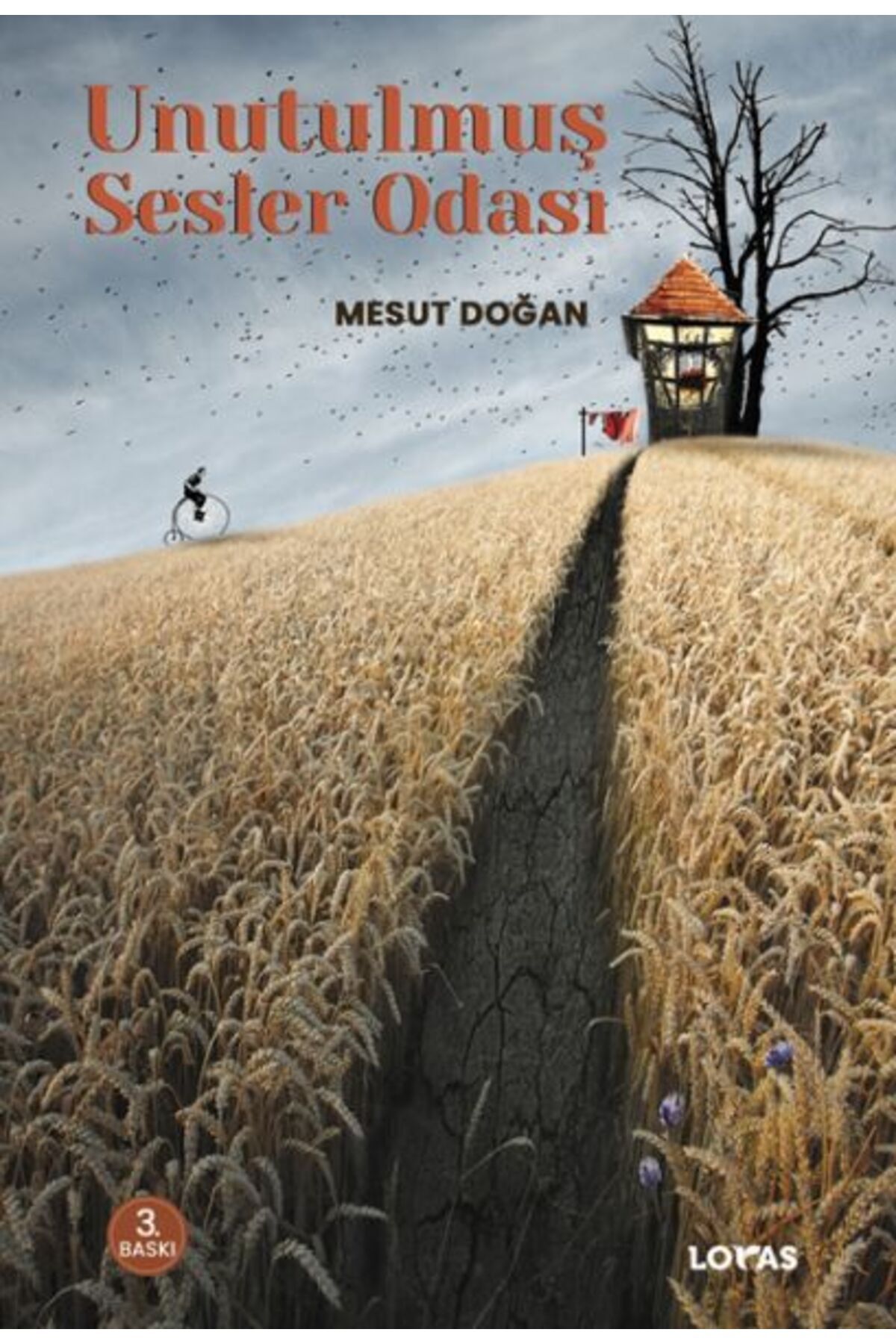 Destek Yayınları Unutulmuş Sesler Odası