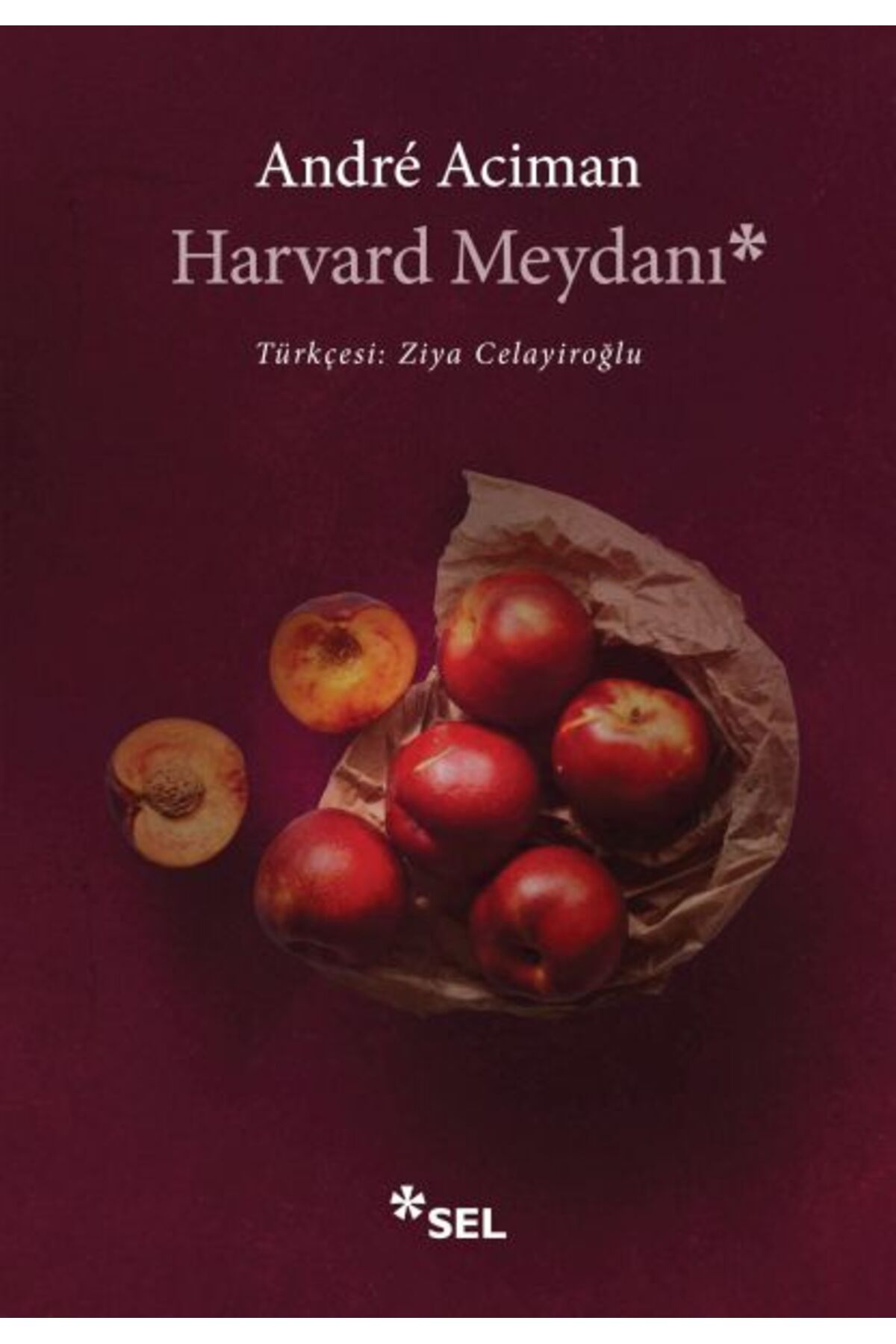 Sel Yayınları Harvard Meydanı