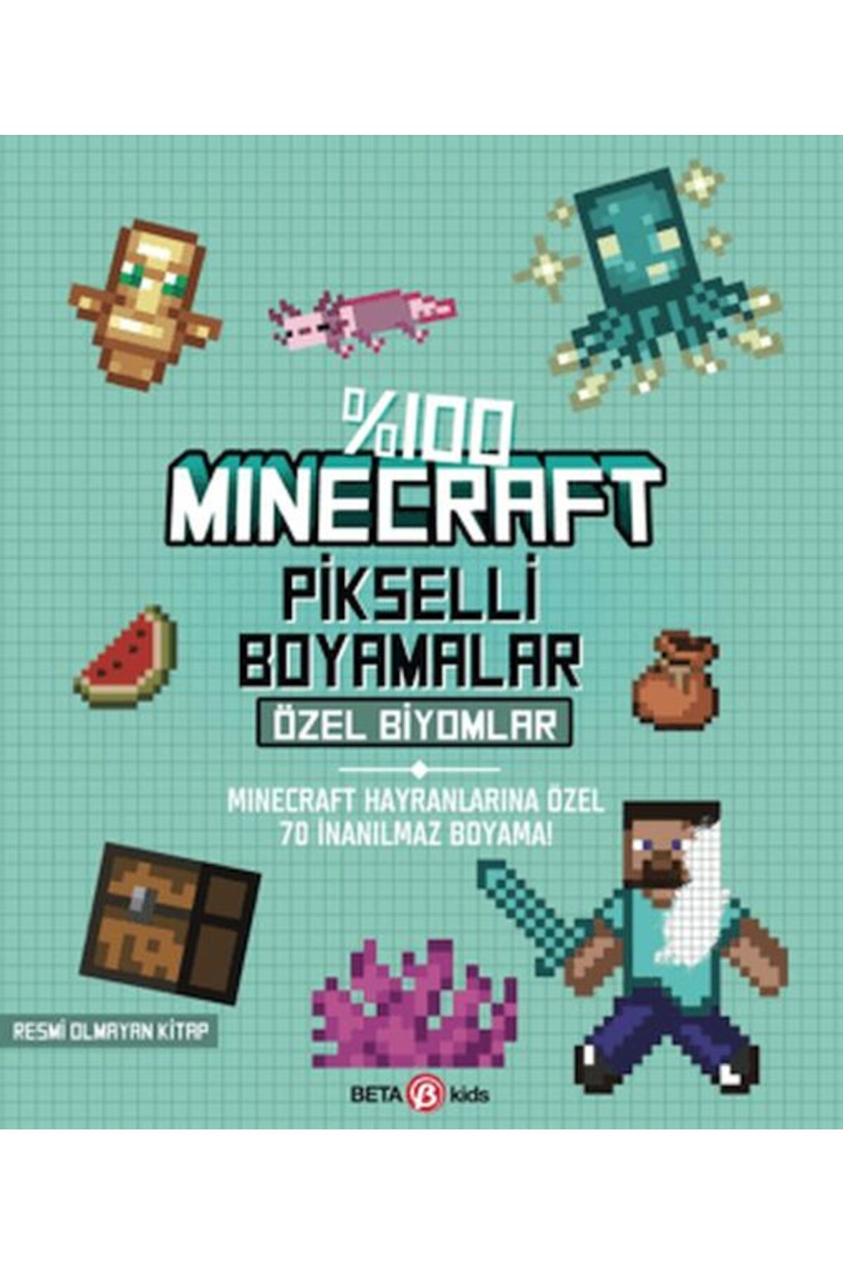Destek Yayınları 100 Minecraft Pikselli Boyamalar Özel Biyomlar