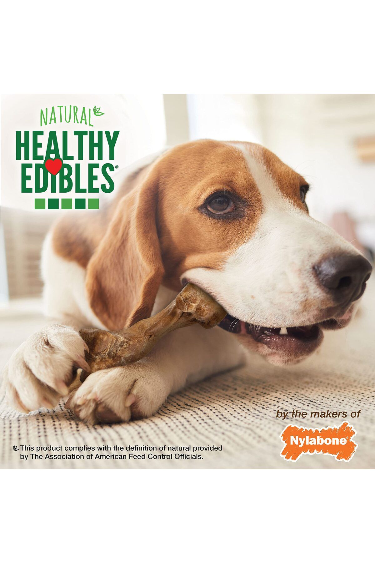 Nylabone-مكافآت مضغ العظام الطبيعية طويلة الأمد من Healthy Edibles WILD للكلاب بنكهة البيسون، متوسطة الحجم (2 قطعة) 6