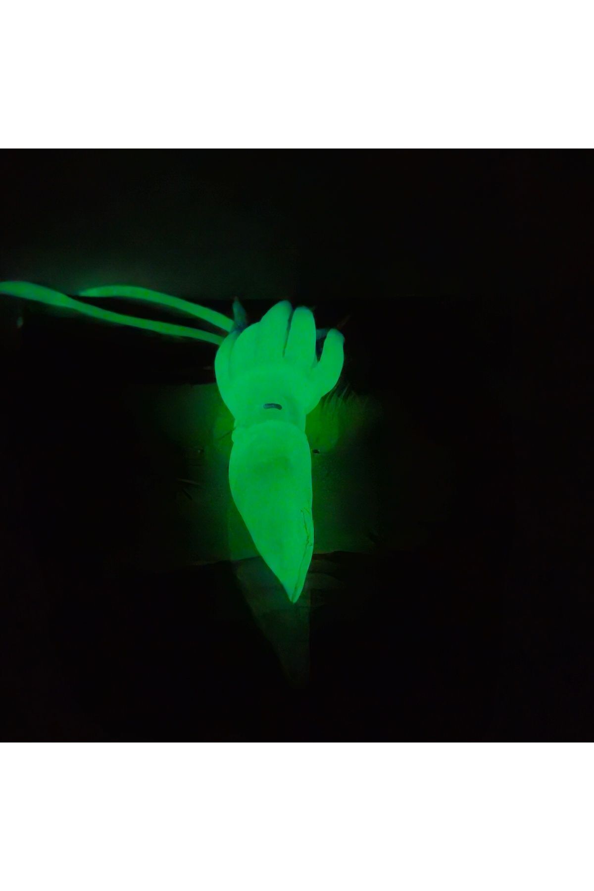 Seher KARANLIKTA PARLAYAN ESNEK AHTAPOT BANYO OYUNCAĞI fotoğrafı 3 (önizleme)