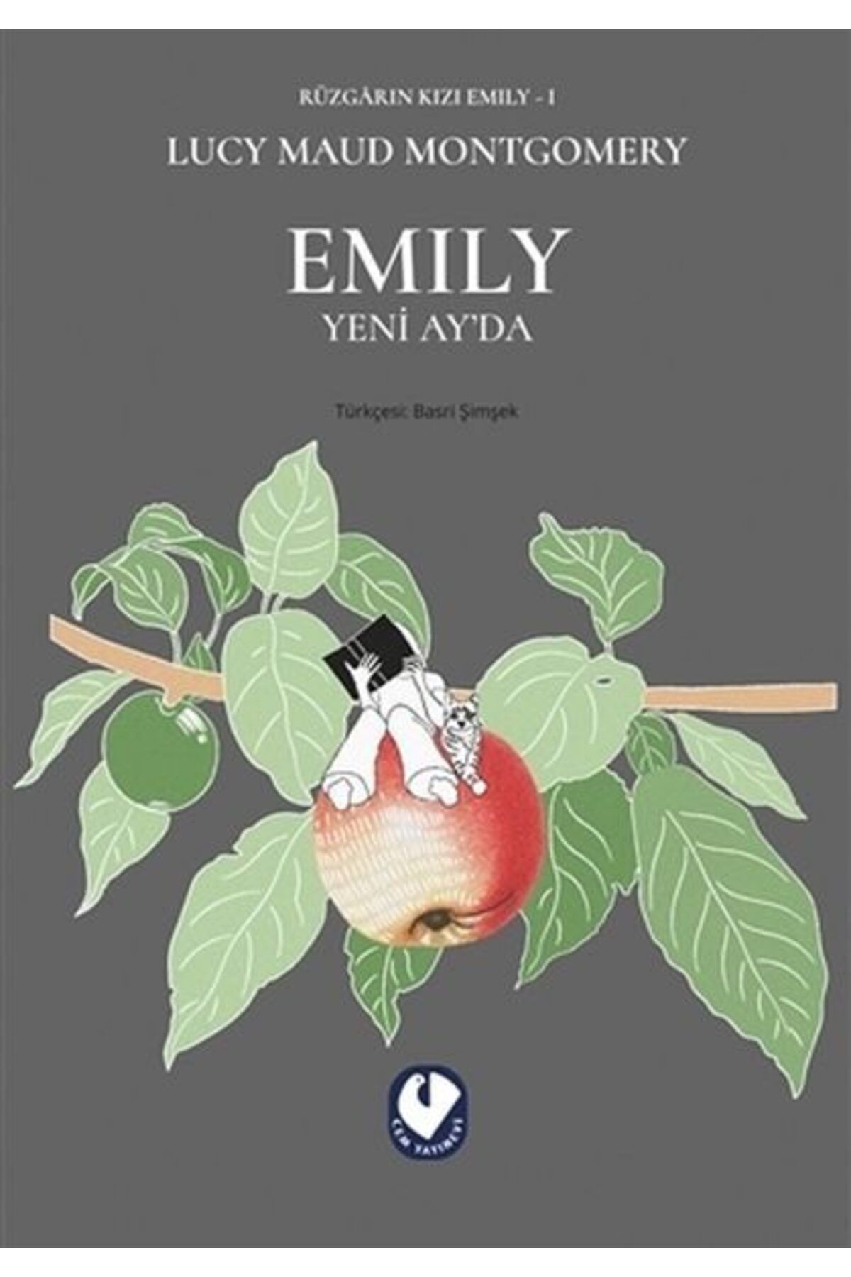 Cem Yayınevi Emily Yeni Ayda Rüzgarın Kızı Emily 1