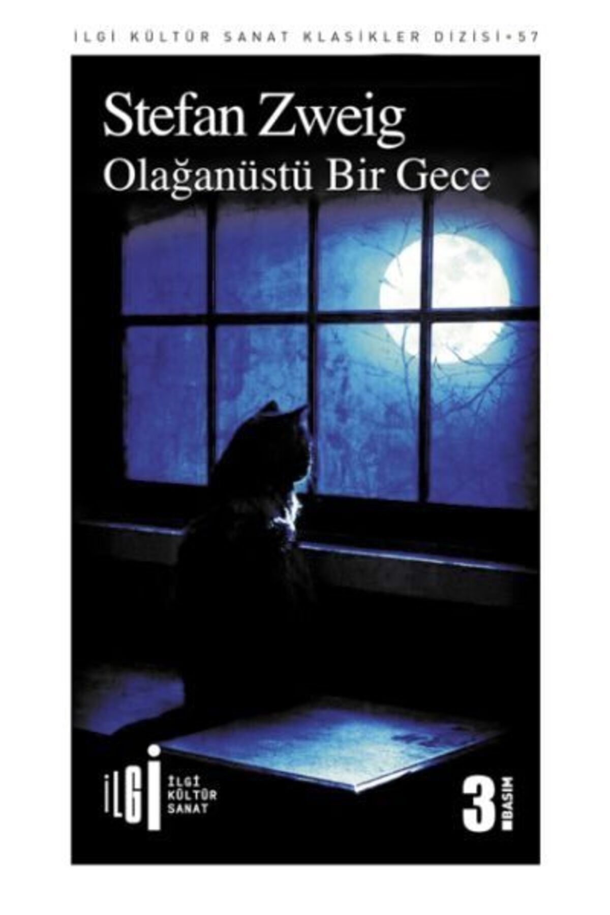 İlgi Kültür Sanat Yayıncılık Olağanüstü Bir Gece